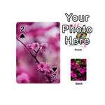 Pexels-photo-548375 Pexels-photo-130847 Playing Cards 54 Designs (Mini)
