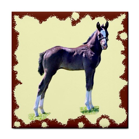 Foal Tile Coaster from UrbanLoad.com Front