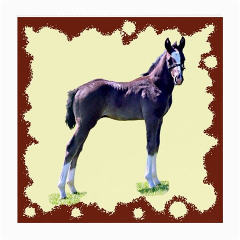 Foal Glasses Cloth (Medium) from UrbanLoad.com Front
