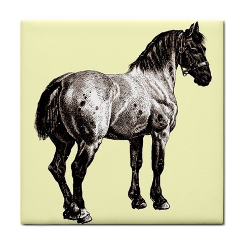 Vintage horse 3 Tile Coaster from UrbanLoad.com Front