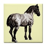 Vintage horse 3 Tile Coaster