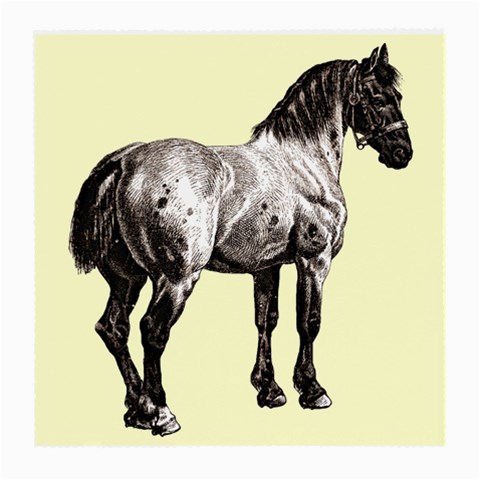 Vintage horse 3 Glasses Cloth (Medium) from UrbanLoad.com Front