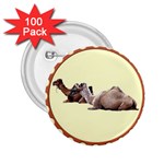 Sitting camels 2.25  Button (100 pack)