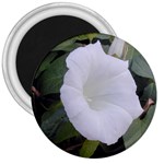 whiteflower1678 3  Magnet