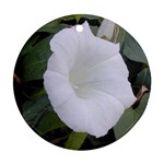 whiteflower1678 Ornament (Round)