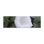 whiteflower1678 Sticker (Bumper)
