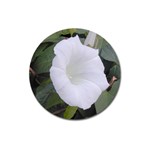 whiteflower1678 Magnet 3  (Round)