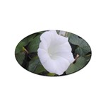 whiteflower1678 Sticker Oval (100 pack)
