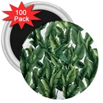 Green banana leaves 3  Magnets (100 pack)