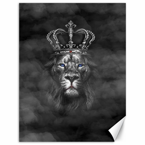 Lion King Of The Jungle Nature Canvas 12  x 16  from UrbanLoad.com 11.86 x15.41  Canvas - 1