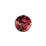 Pink Roses Flowers Love Nature 1  Mini Buttons