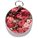 Pink Roses Flowers Love Nature Silver Compasses