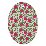 Flowers Leaves Roses Pattern Floral Nature Background Ornament (Oval)
