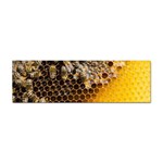 Honeycomb With Bees Sticker Bumper (10 pack)