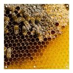 Honeycomb With Bees Banner and Sign 3  x 3 