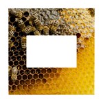 Honeycomb With Bees White Box Photo Frame 4  x 6 