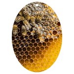 Honeycomb With Bees UV Print Acrylic Ornament Oval