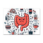 Health Gut Health Intestines Colon Body Liver Human Lung Junk Food Pizza Sticker A4 (10 pack)