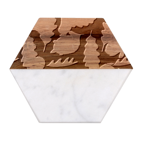 Leaves Foliage Pattern Oak Autumn Marble Wood Coaster (Hexagon)  from UrbanLoad.com Front