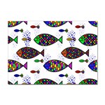 Fish Abstract Colorful Sticker A4 (10 pack)