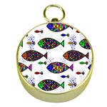 Fish Abstract Colorful Gold Compasses
