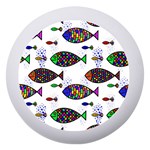 Fish Abstract Colorful Dento Box with Mirror