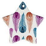 Pen Peacock Colors Colored Pattern Ornament (Star)
