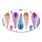 Pen Peacock Colors Colored Pattern Oval Magnet