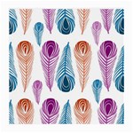 Pen Peacock Colors Colored Pattern Medium Glasses Cloth (2 Sides)
