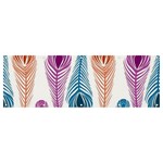 Pen Peacock Colors Colored Pattern Banner and Sign 12  x 4 