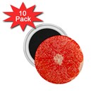 Grapefruit-fruit-background-food 1.75  Magnets (10 pack) 