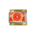 Grapefruit-fruit-background-food Gold Trim Italian Charm (9mm)