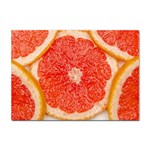 Grapefruit-fruit-background-food Sticker A4 (10 pack)