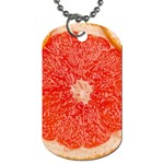 Grapefruit-fruit-background-food Dog Tag (Two Sides)