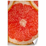 Grapefruit-fruit-background-food Canvas 12  x 18 