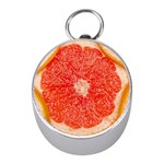 Grapefruit-fruit-background-food Mini Silver Compasses