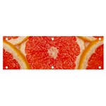 Grapefruit-fruit-background-food Banner and Sign 6  x 2 