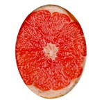 Grapefruit-fruit-background-food Oval Glass Fridge Magnet (4 pack)