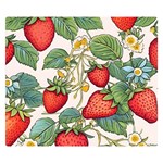 Strawberry-fruits Premium Plush Fleece Blanket (Small)