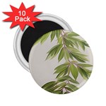 Watercolor Leaves Branch Nature Plant Growing Still Life Botanical Study 2.25  Magnets (10 pack) 