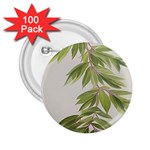 Watercolor Leaves Branch Nature Plant Growing Still Life Botanical Study 2.25  Buttons (100 pack) 