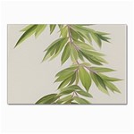 Watercolor Leaves Branch Nature Plant Growing Still Life Botanical Study Postcards 5  x 7  (Pkg of 10)
