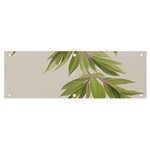 Watercolor Leaves Branch Nature Plant Growing Still Life Botanical Study Banner and Sign 6  x 2 