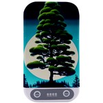 Pine Moon Tree Landscape Nature Scene Stars Setting Night Midnight Full Moon Sterilizers