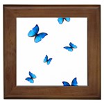 Butterfly-blue-phengaris Framed Tile