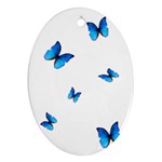 Butterfly-blue-phengaris Ornament (Oval)