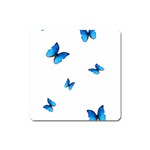 Butterfly-blue-phengaris Square Magnet