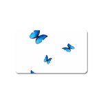 Butterfly-blue-phengaris Magnet (Name Card)