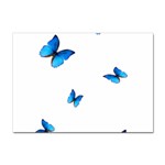 Butterfly-blue-phengaris Sticker A4 (10 pack)