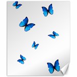 Butterfly-blue-phengaris Canvas 8  x 10 